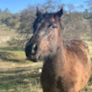 Meet your Posher, Cora